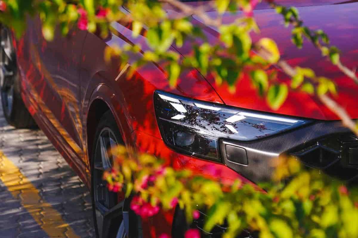 2025 Audi RS Q8: The best Super SUV?